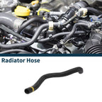 Lower Radiator Hose for Toyota Camry (2018) No. 165730V040