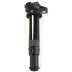 Set of 2 Ignition Coils for Hyundai Accent, Kia Rio (2006–2011)