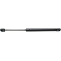 Hood Lift Support for Acura CL TL (2001–2003)