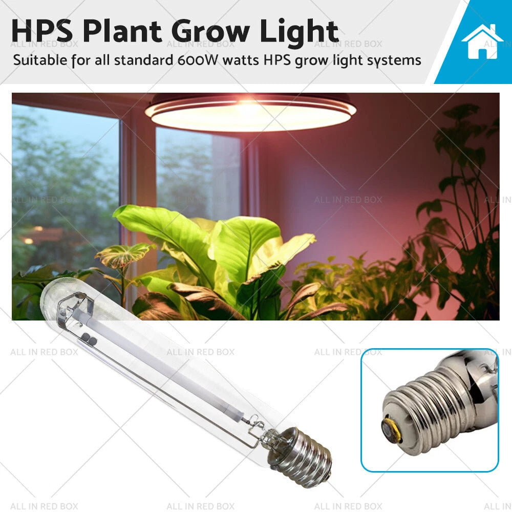 600W HPS MH Grow Light Bulb for Hydroponics (Suitable for All Models)