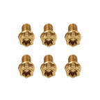 6pcs M8x30mm Titanium Torx Head Flange Bolts for Motorcycle Bike