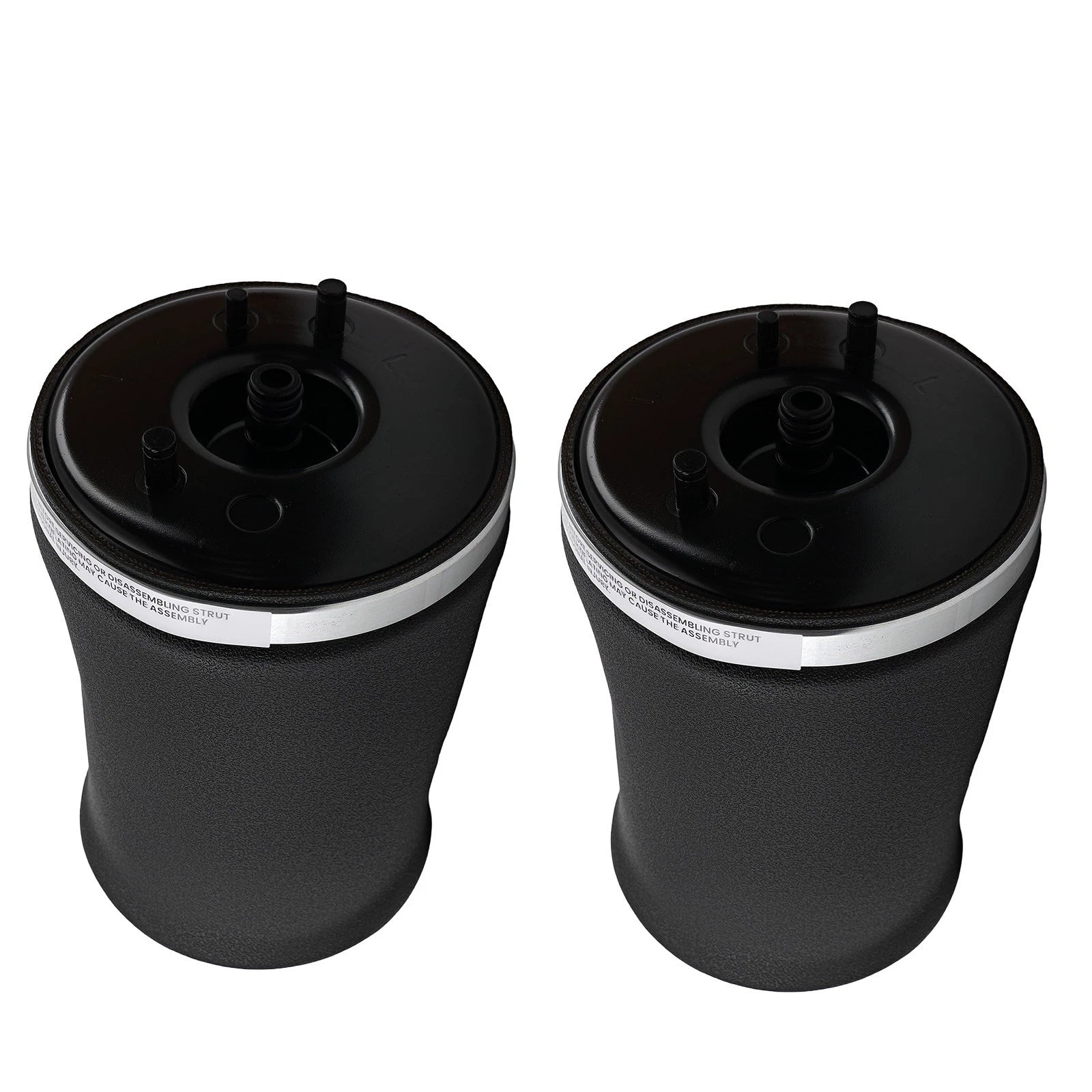 Set of 2 Rear Air Suspension Struts for BMW E53 X5 (2000-2006)