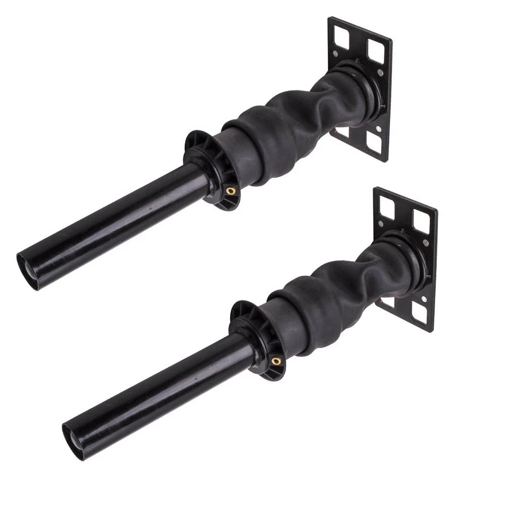 Pair Air Spring Bags for International Prostar (2008)