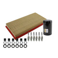 Tune Up Kit with NGK 6 Spark Plugs & Coil Boots for Dakota Raider (2005–2011)