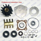 Minor Repair Kit for Sherwood Pumps P2701-01 P2701X P2702-01 P2703-01 P2704-01