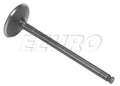 Intake Valve for TRW (261034)