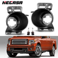 Fog Light Covers for Ford F-150 (2009–2010) - Black