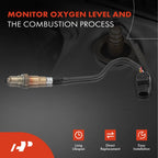 O2 Oxygen Sensor for Ford Edge F-150 Explorer Escape (2015-2020)