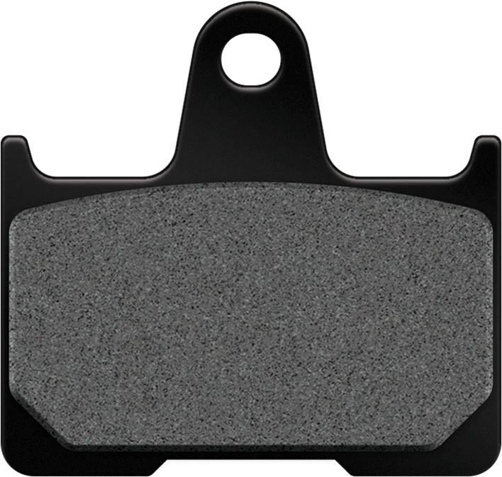 Sintered Brake Pads for Harley Davidson V-Twin Models (HD254HH)