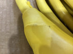 Marinco EEL 50 Shore Power Cordset 50 Amp 125V CS503-50