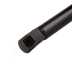 2Pcs Rear Liftgate Lift Supports for Toyota Matrix (2003–2008)
