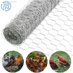 Galvanized Poultry Net for Chicken Fencing (USA)