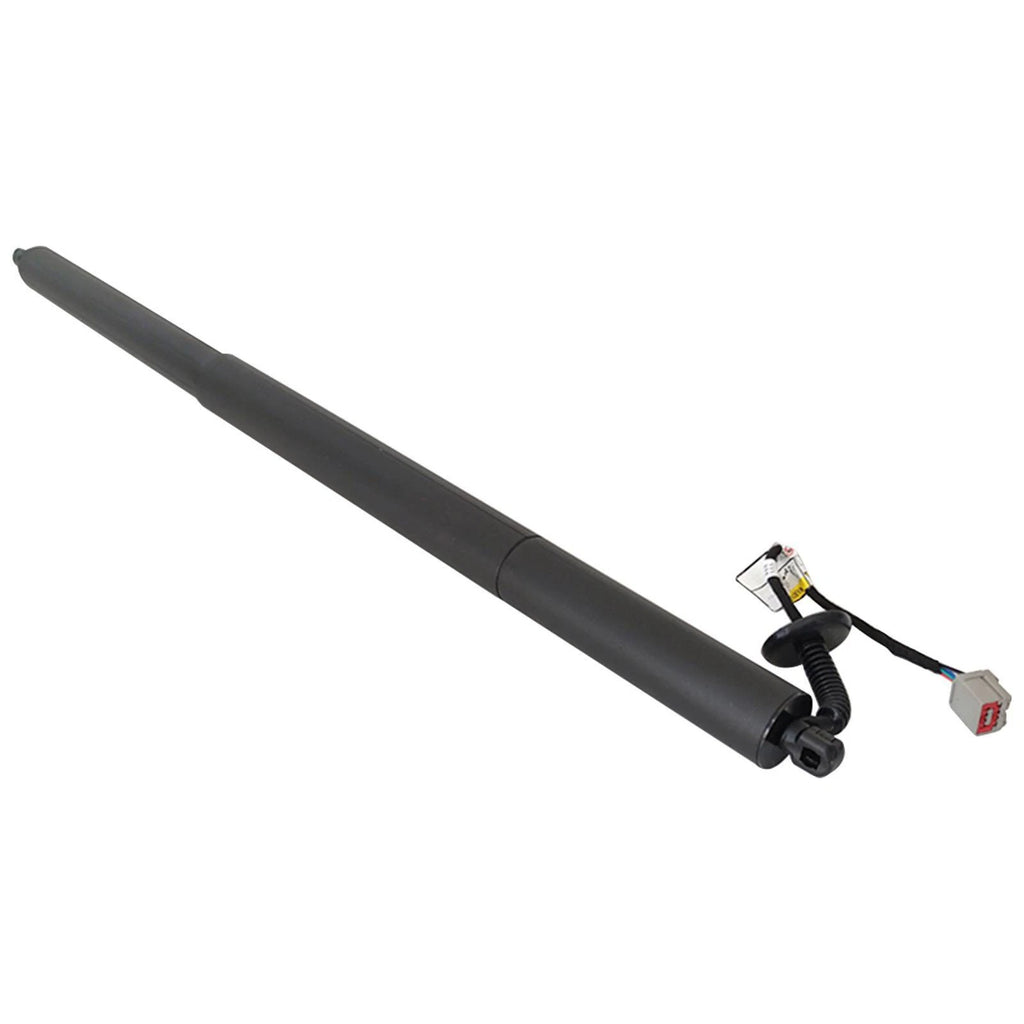 Rear Left Tailgate Lift Support for Ford Escape (2013–2019)