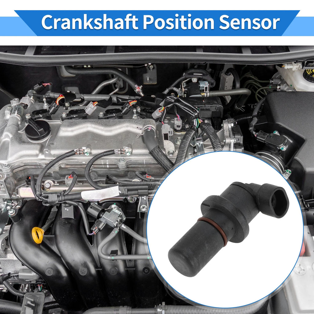 Crankshaft Position Sensor for Ford (1 Pc, Black Metal Plastic)