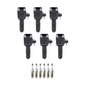 Set of 6 Denso Ignition Coils & Platinum Spark Plugs for Ascender Rainier (2003–2008)
