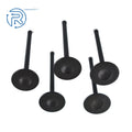 Engine Intake and Exhaust Valves for Yamaha Raptor 660R (2001–2005)
