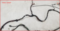 Radio Harness for Jaguar XJ8/XJ8L/XJR/VDP (1999) LNE36