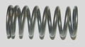 WSM Valve Spring for Sea-Doo 1503 / 1630 4-TEC (2002–2026)
