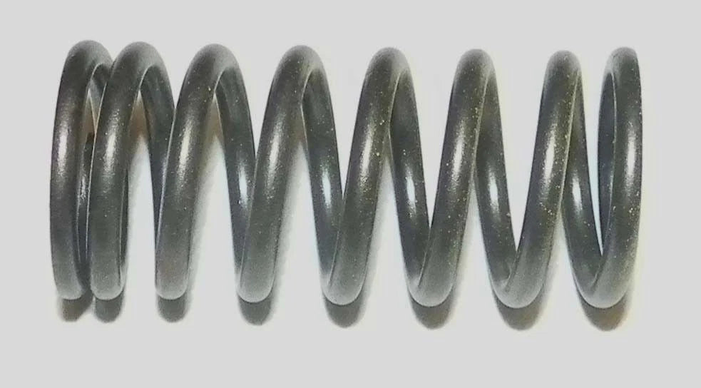 WSM Valve Spring for Sea-Doo 1503 / 1630 4-TEC (2002–2026)