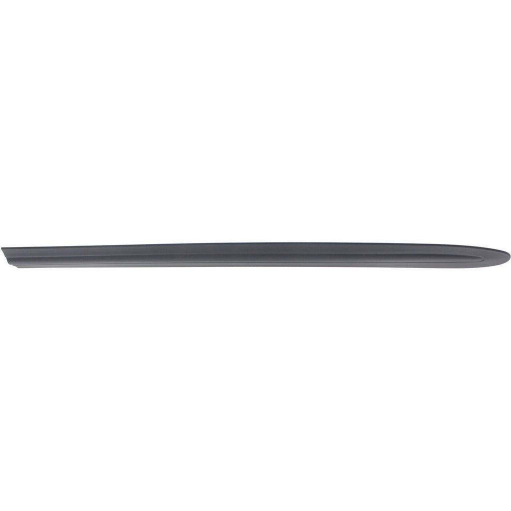 Door Molding and Beltlines for Town & Country Grand Caravan (2003)