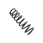 Lesjofors Rear Coil Spring for BMW (4208449)