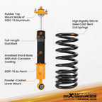 Rear Air to Shocks & Springs Conversion Kit for Lincoln Mark VIII (1993–1998)