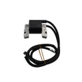 Twin Cylinder Ignition Coil for HP 394891 (2016–2018)
