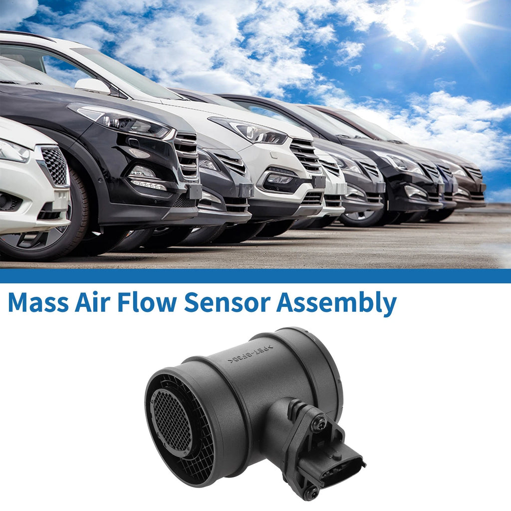 Mass Air Flow Sensor for Hyundai Tuscun (No. 2816427900)