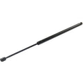 Lift Support for Dodge Grand Caravan (2009–2016)