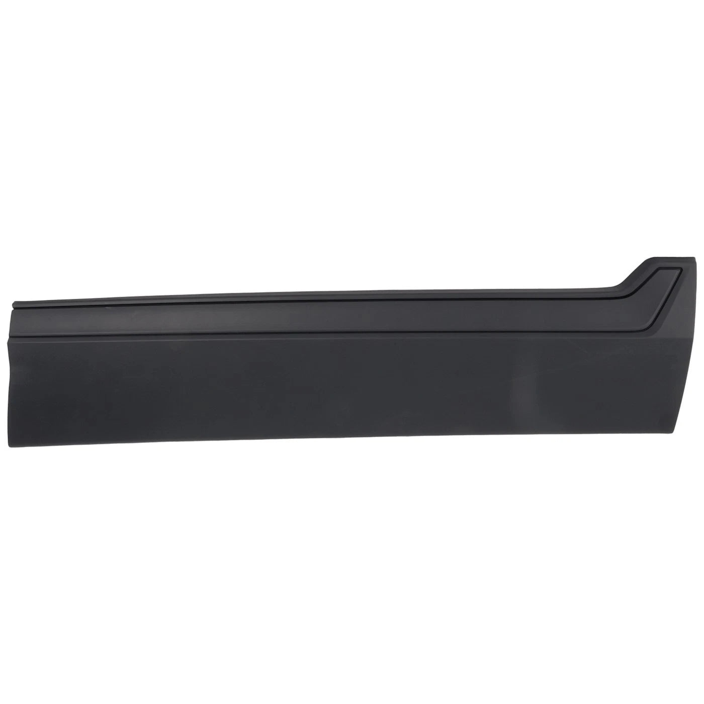 Set of 2 Door Molding for Front Driver & Passenger Side