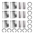 Engine Piston Ring Set for Dodge Ram 2500 3500 5.9L Cummins 24V 04-2006 3966678
