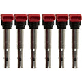 Set of 6 Ignition Coils for Audi A6-A8, Porsche Panamera, VW Touareg 3.0L