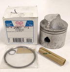 Piston Kit for Aqua Power 2987 (OEM)