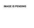 Starter Repair Kit for PH185-0010