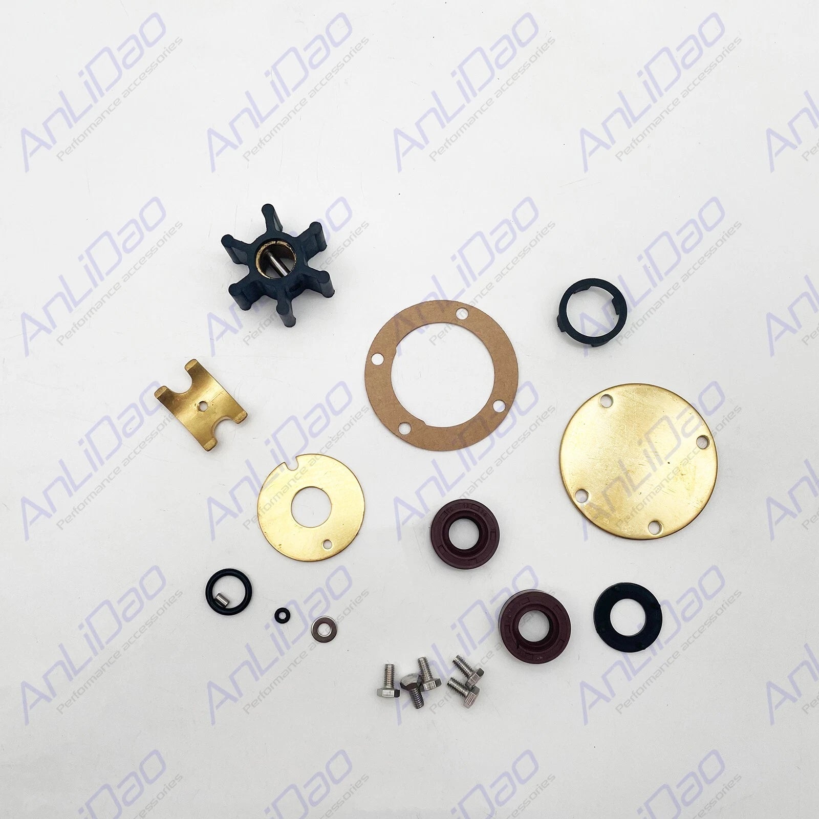 Internal Major Repair Kit for Volvo Penta Sea Water Pumps (21951368, 858065, 840557)