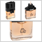 Air Freshener Deodorizer for Car Office - Treefrog Clip-On White Peach 0.3oz