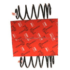 Coil Spring Set for Chevrolet Cobalt (2005-2010)