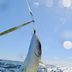 Fly Fishing Hook Nymph Lure for Steelhead