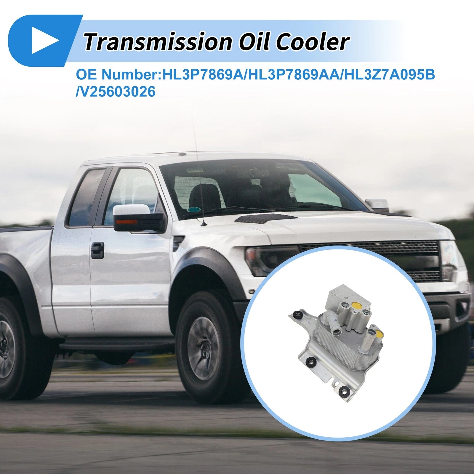 Engine Oil Cooler for Ford Expedition (2020) No.HL3P7869A 1 Pc