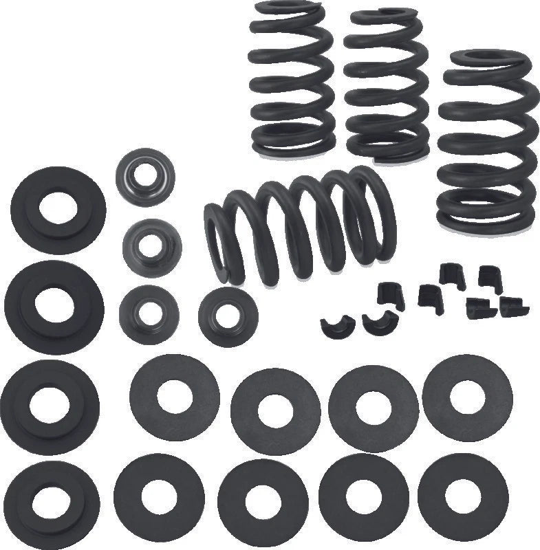 S&S Cycle Valve Spring Kit for Harley-Davidson BT (1984–2004) .585in
