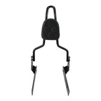 Detachable Passenger Backrest Sissy Bar for Harley Dyna Street Bob (2006–2017)