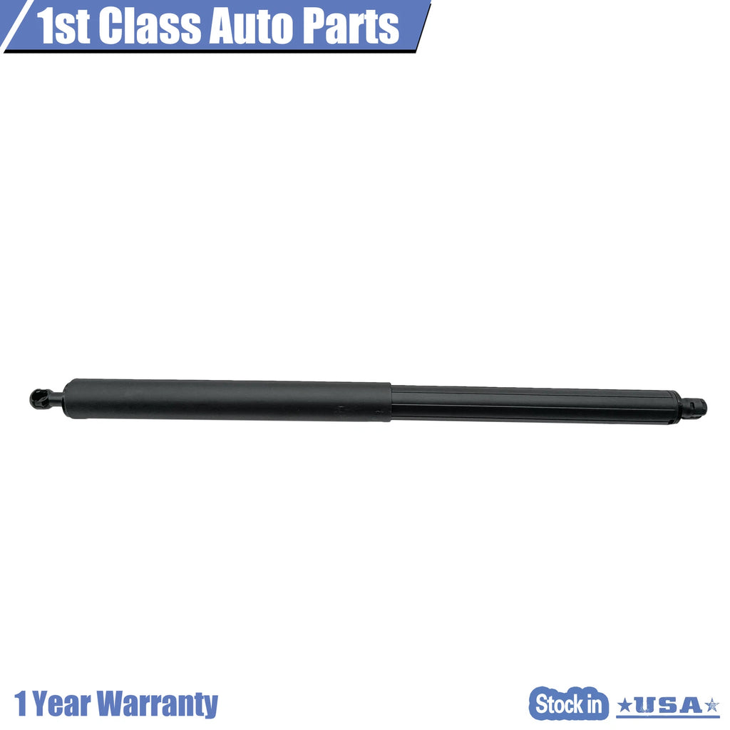 Lift Supports for Ford Edge (2015-2018) Rear Tailgate