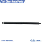 Lift Supports for Ford Edge (2015-2018) Rear Tailgate
