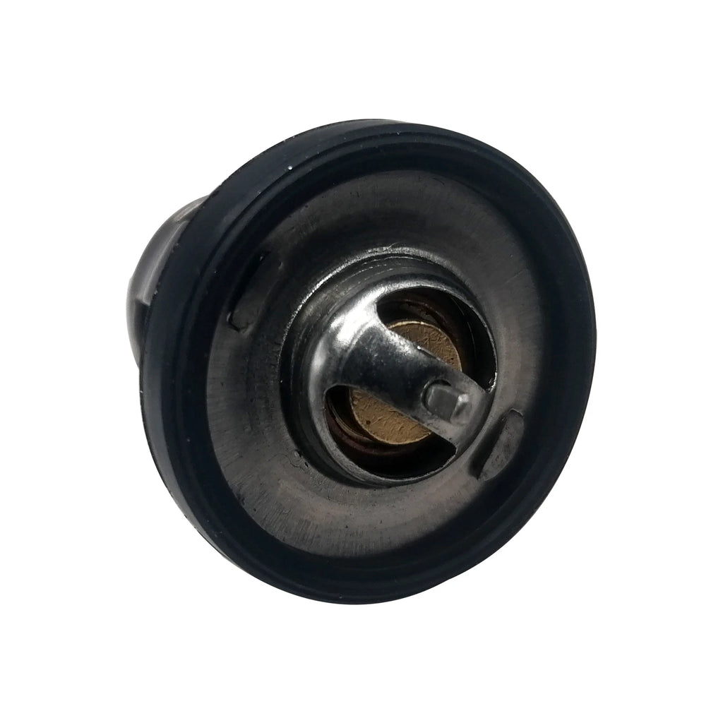 Thermostat 5033385 for Johnson Evinrude OMC 2HP 4HP 5HP 6HP (18-S91J)