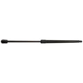 Set of 2 Liftgate Struts for Ford Escape