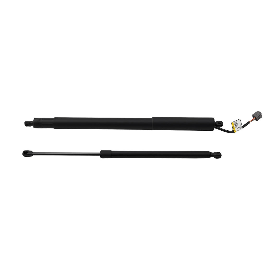 2X Tailgate Lift Support Strut for Ford Edge Lincoln MKX (2011)