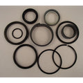 Hydraulic Cylinder Seal Kit for JLG Lifts (2900381)