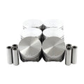 Piston Set for DNJ P1139 (2010–2020)