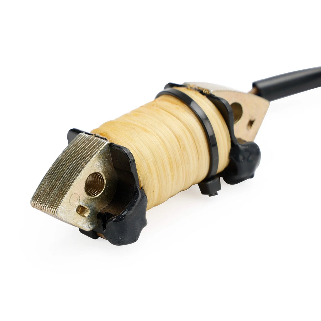 Charge Coil for Yamaha F6 F8 T8 FT8 F9.9 FT9.9 T9.9 (2000–2022) 68T-85520-00-00