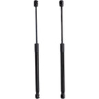 Set of 2 Liftgate Struts for Kia Niro